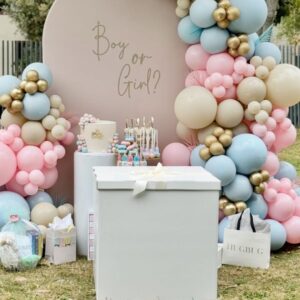 Gender Reveal Decorations